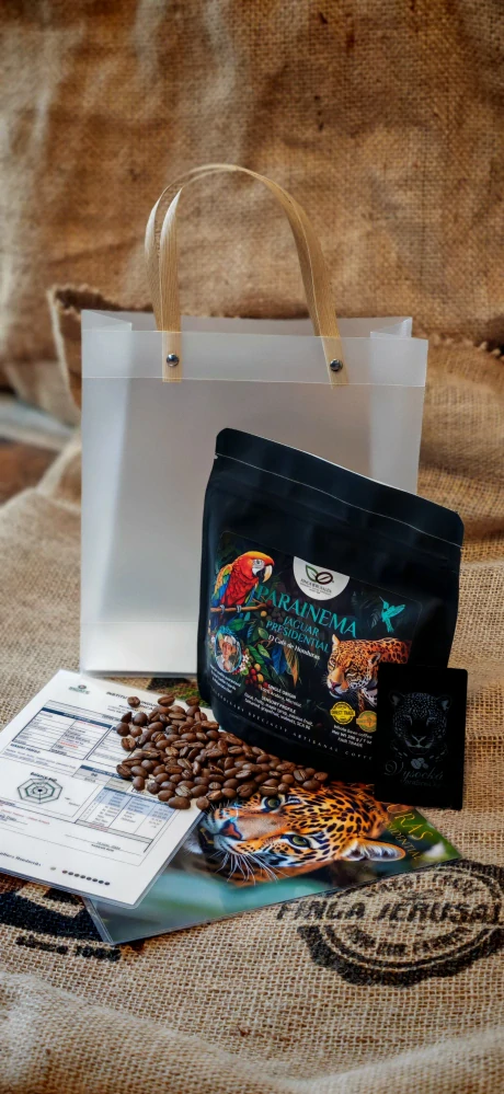 HONDURAS Parainema Jaguar Presidential - zrnková káva Arabica 